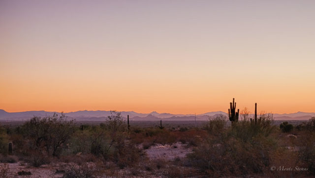 Dawn in the Desert 