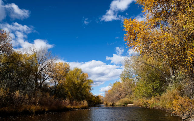 Poudre River at North Shields Ponds trail.