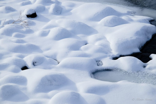 Snow Along Poudre River 