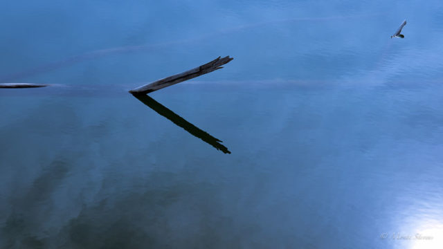 A Log and It’s Shadow in Color