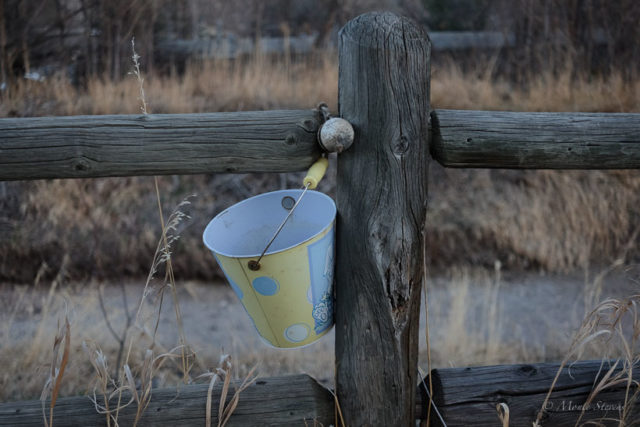 The Sand Pail