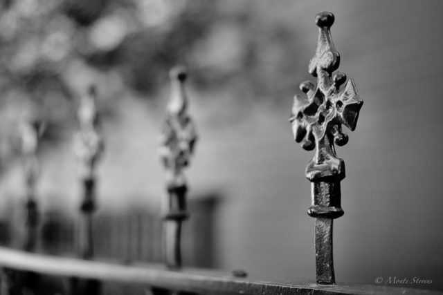 Depth of Field, taken at 35mm f2.0