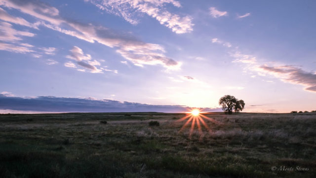 Memorial Day Sunrise on County Road 13