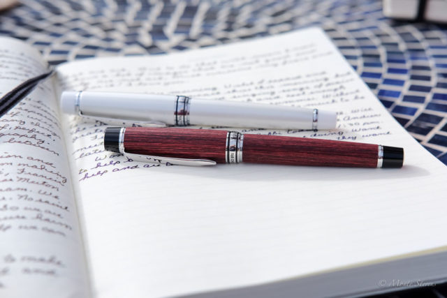 Pilot fountain pens