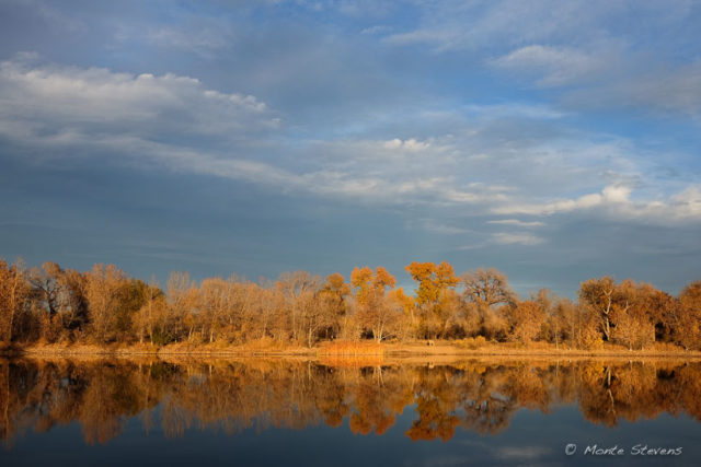 Fall Reflections 