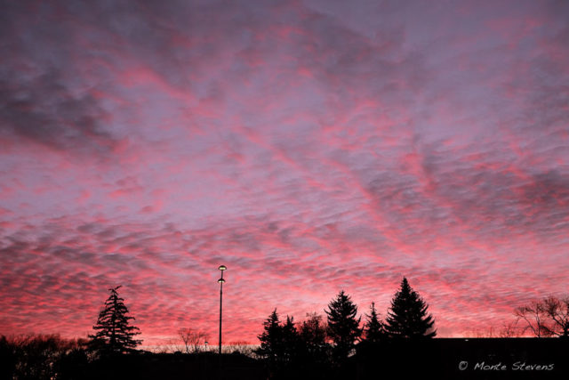 Sunrise on Campus