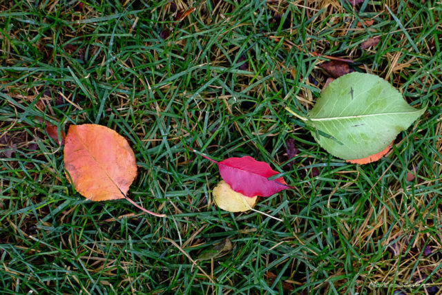 Bright and Colorful