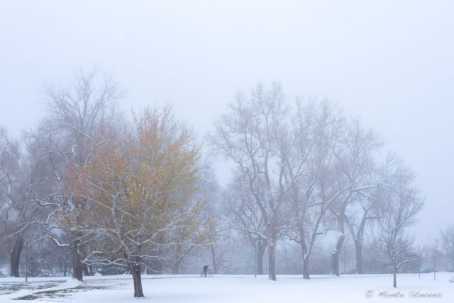 Bicyclist on a cold morning near campus