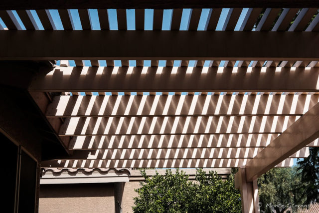 Pergola on the back patio.