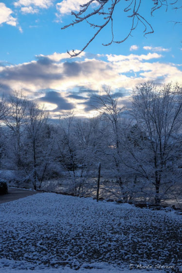 Dusting of Snow 