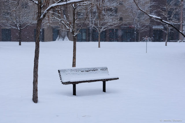 An Empty Bench