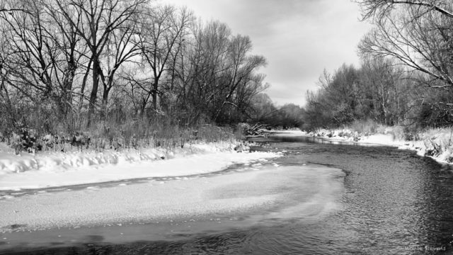 Poudre River in Winter