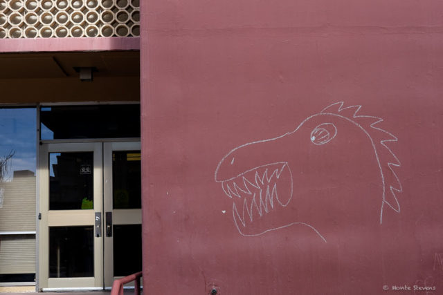 Dragons at the Behavioral Science Building