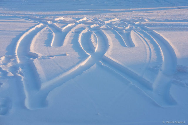 Art from tire tracks in my parking lot 