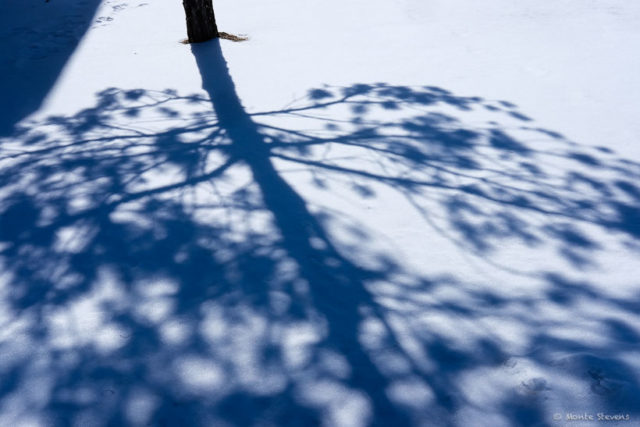 Shadows on the Snow