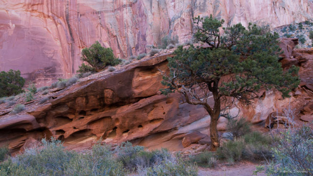 Arches National Park