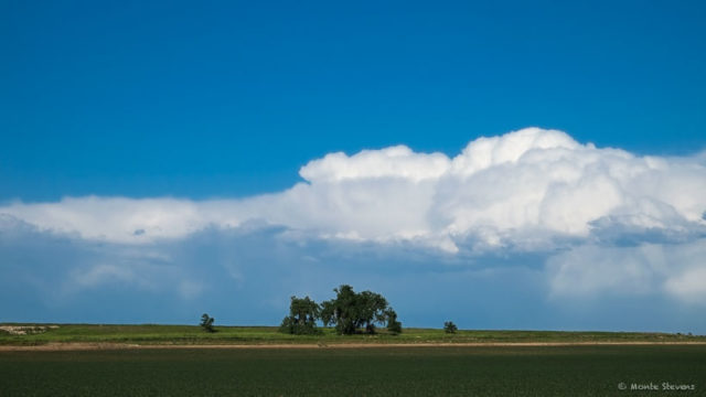 Horizon with Clouds and Trees