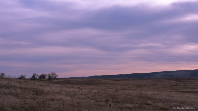 Cloudy afternoon at Cathy Fromme Prairie Area 