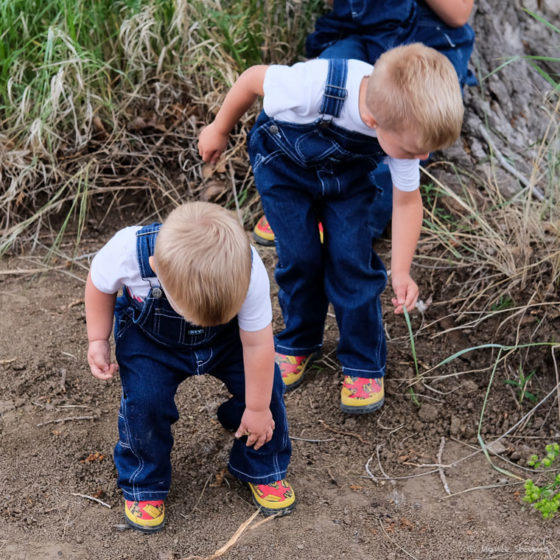 Brothers in Sync