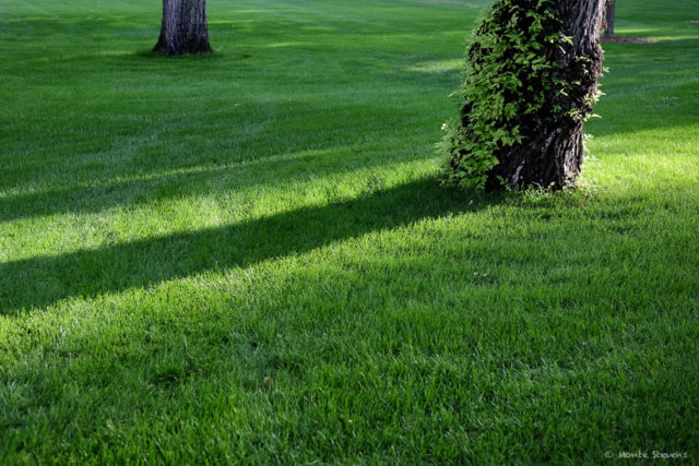 Early Morning Sunlight and Shadows