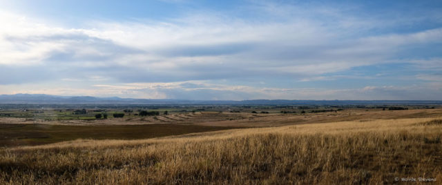 Afternoon along County Roads 13 and 96