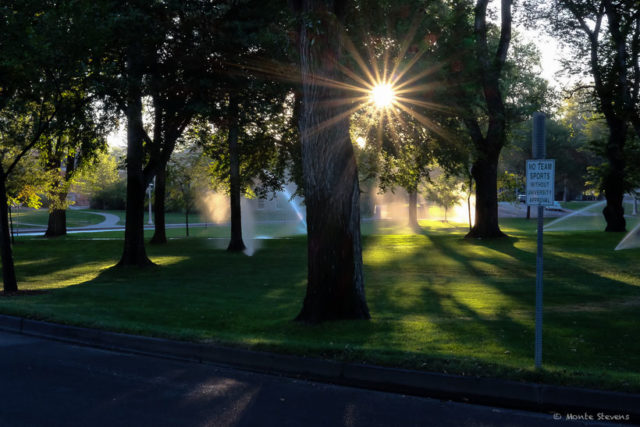 Sprinklers and sunrise at campus Oval