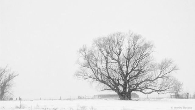 A Snowstorm from 2007