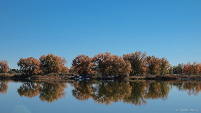 Reflections at Arapaho Bend Nature Area 