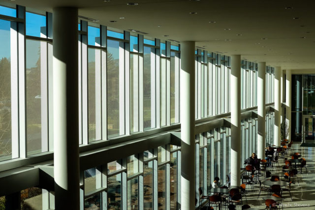 Windows at Lory Student Center