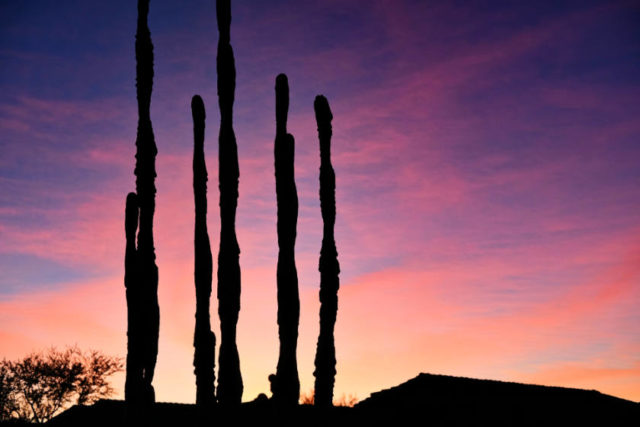 Arizona Sunset 